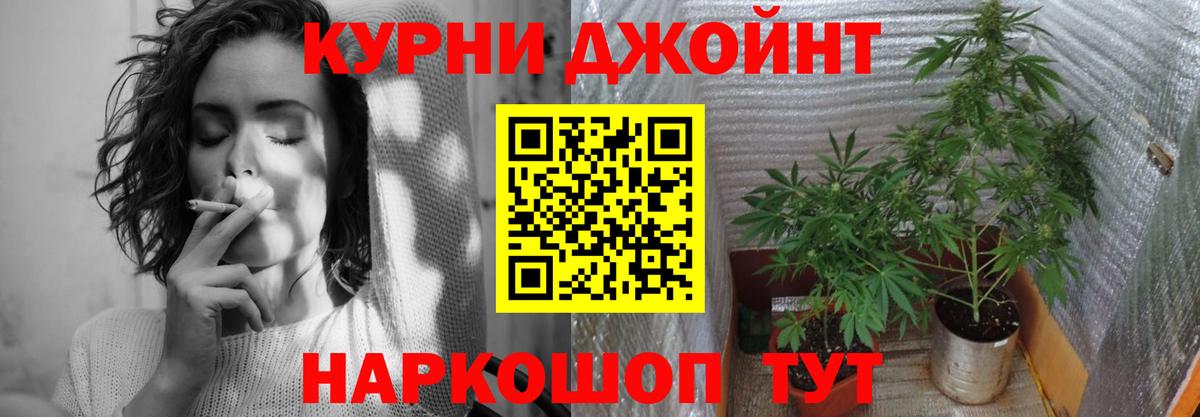 Марихуана ГИДРОПОН  Бошки марихуана сатива  Вход с VPN  Дивногорск 